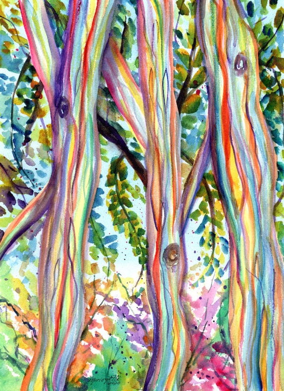 Rainbow Eucalyptus Tree, Forest, Colorful Tree, Hawaiian Trees, Kauai Art, Hawaii Wall Decor, Hawaii Paintings, Tropical Wall Art