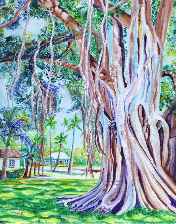Banyan Tree at Waimea Plantation Cottages Art Print from Kauai Hawaii