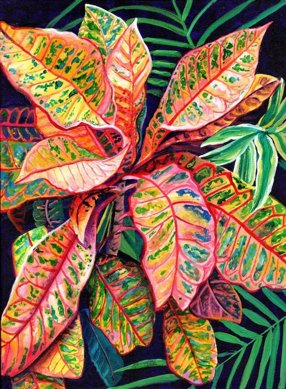 Tropical Croton, Croton Print, Croton Painting, Colorful Crotons, Tropical Leaves art, Hawaii wall art, Kauai Oahu Maui, colorful leaves