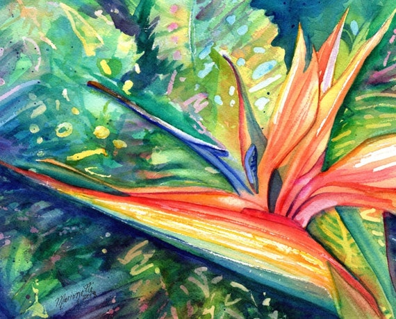 Bird of Paradise, Heliconia Paintings, Bird of Paradise Art, Tropical Flower Paintings, Hawaii Art, Hawaiian Decor, Hawaiian flowers