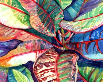 croton tropical leaves print kauai hawaii colorful foliage plants  hawaiian decor marionette taboniar kauaiartist kauai prints