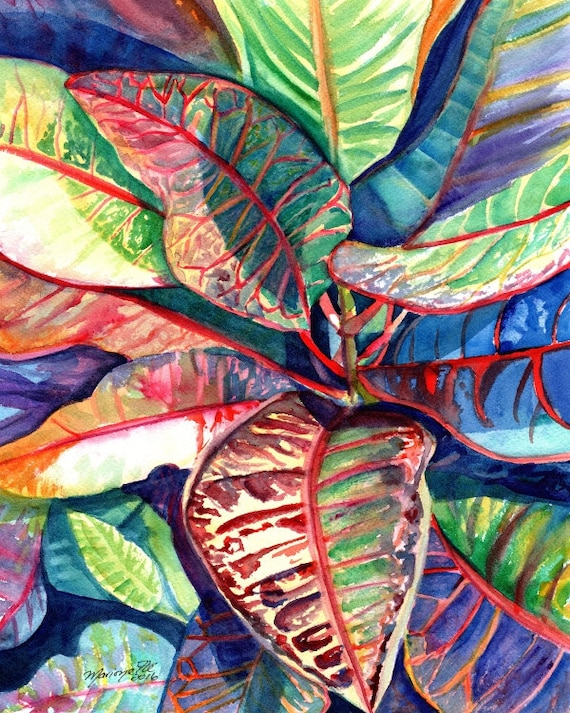 croton tropical leaves print kauai hawaii colorful foliage plants  hawaiian decor marionette taboniar kauaiartist kauai prints