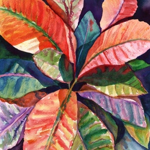 Tropical Leaves art print from Kauai Hawaii hot pink orange exotic flower Colorful Croton Leaves