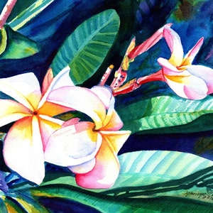 Blooming Plumeria,  art prints, Kauai giclee, Hawaiian flower art, frangipani, Hawaii interior decor, Plumerias, Kauai art,