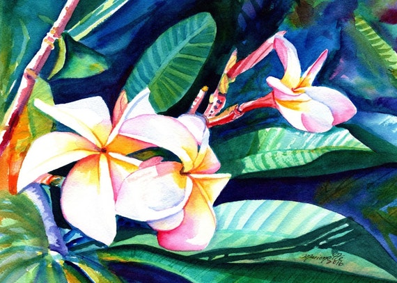 Blooming Plumeria,  art prints, Kauai giclee, Hawaiian flower art, frangipani, Hawaii interior decor, Plumerias, Kauai art,