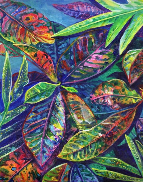 Croton Plant with Ferns  Fine Art Giclee Print from Kauai Hawaii