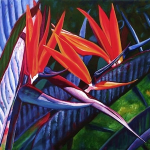 May include: A painting of a bird of paradise flower with orange, red, and yellow petals. The flower is surrounded by dark green and blue leaves.