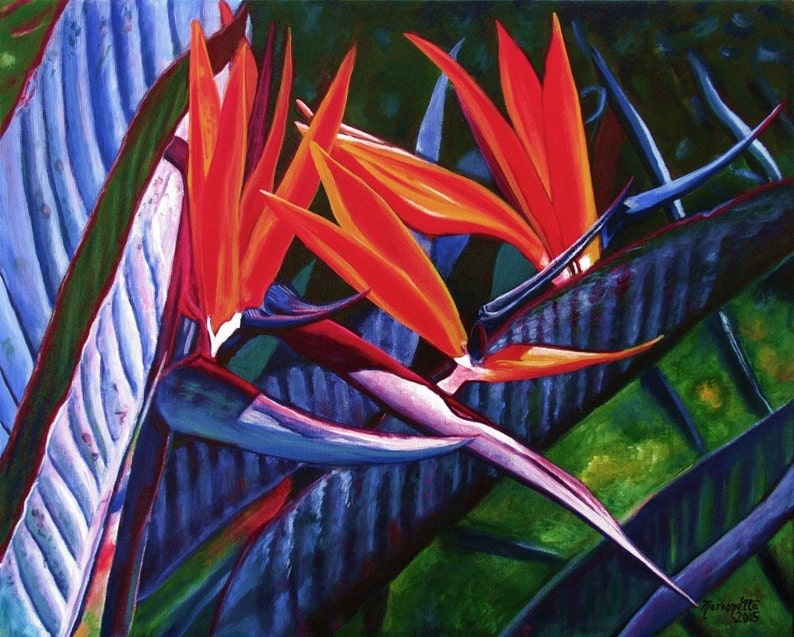 Bird of Paradise Art Bird of Paradise Painting Hawaii Print Etsy
