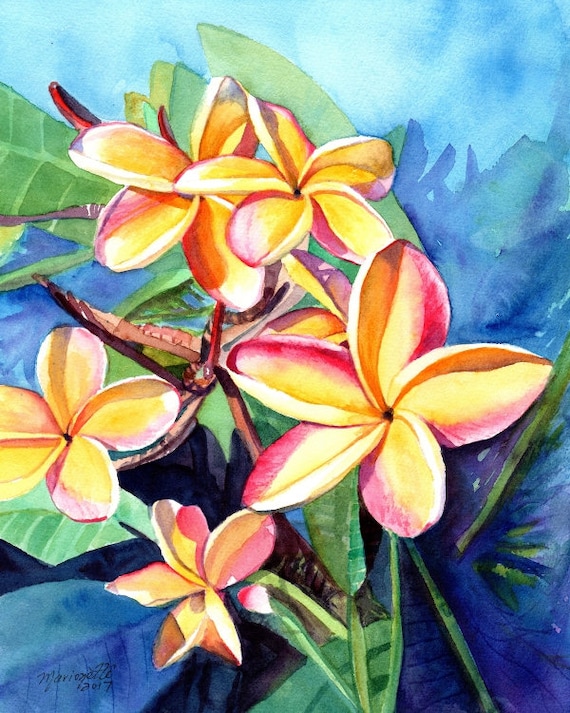 plumeria art, plumeria print, plumeria artwork, paintings of plumeria, kauai artist, hawaiian art galleries, oahu maui, kauai fine art,