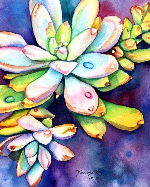 Succulent Painting Original Watercolor, Hawaii Art, Southwest Cactus Decor, Succulent Plant, Kauai Artist, Cactus Watercolor, Succulent Gift