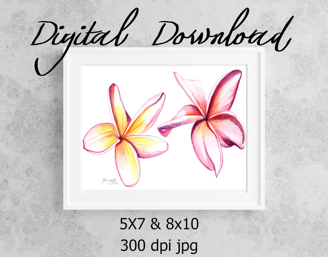 Plumeria Flowers Print, Printable Wall Art, Downloadable Art, Poster Art, DIY Prints, Hawaii ...