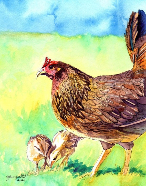 Hen and Baby Chicks, Chicken Print, Farm Paintings, Kauai Art, Kitchen Decor, Barnyard Chickens, Kauai Chicks