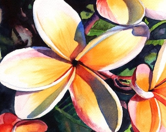 plumeria art print, plumeria artwork, paintings of plumeria, kauai artist, hawaiian art galleries, kauai art, oahu maui, plumeria artwork