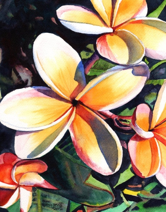 plumeria art print, plumeria artwork, paintings of plumeria, kauai artist, hawaiian art galleries, kauai art, oahu maui, plumeria artwork