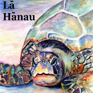 May include: A watercolour painting of a sea turtle with a colourful shell and a close-up of its face. The turtle is resting on a sandy beach with a pink and orange sky in the background. The painting is titled "Hau'oli La Hanau".