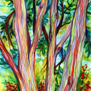 Rainbow Eucalyptus Tree, Hawaiian Trees, Kauai Art, Hawaii Wall Decor, Hawaii Paintings, Kauai Art, Tropical Wall Art