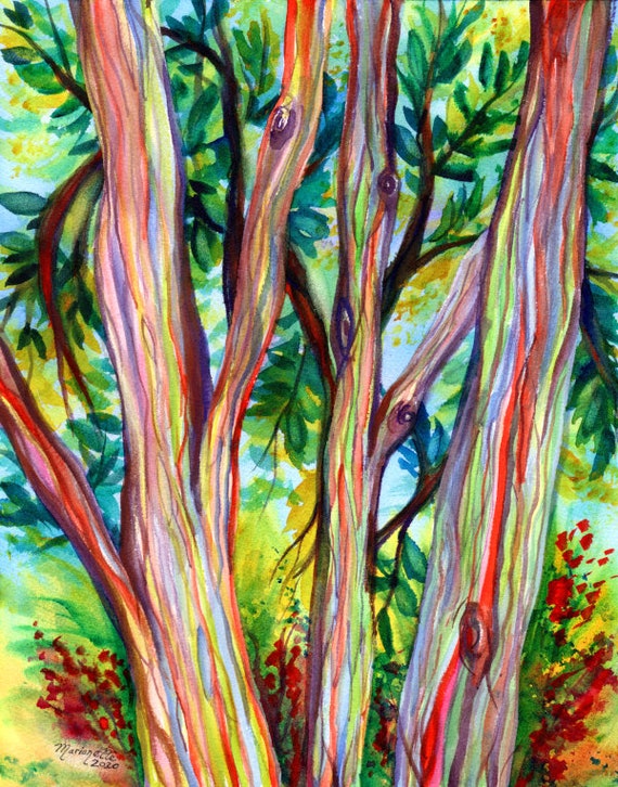 Rainbow Eucalyptus Tree, Hawaiian Trees, Kauai Art, Hawaii Wall Decor, Hawaii Paintings, Kauai Art, Tropical Wall Art