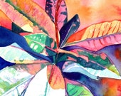 Tropical Leaves, Original Watercolors, Croton Paintings,  Tropical Plant Paintings, Tropical Leaf Art, Kauai Fine Art, Wall Art, Hawaii