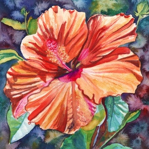 Tropical Hibiscus, Orange Hibiscus, Hibiscus Print, Hibiscus Art, Tropical Flower art, Hawaii art, Hawaiian Hibiscus, Hawaiiana