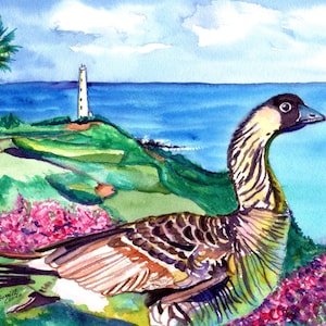 Nene Goose, Nene Geese, Kauai Art Print, Hawaiian State Bird, Nawiliwili, Hawaii Decor, Golf Course Hokuala , Ninini Point Lighthouse