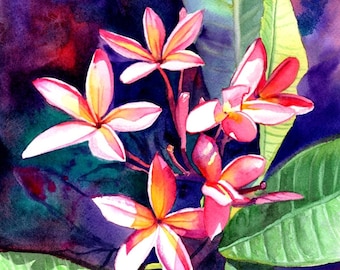 Puede incluir: Pintura acuarela de flores de plumeria rosadas y blancas con hojas verdes sobre un fondo morado oscuro. Las flores tienen centros amarillos y están dispuestas en un racimo. La firma del artista es visible en la esquina inferior derecha.