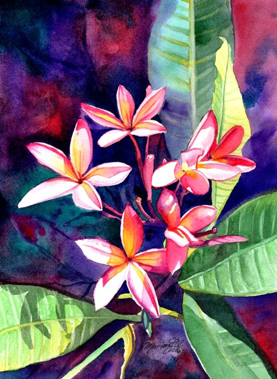 Plumeria Art, Tropical Flower Painting, Plumeria Print, Frangipani Art, Kauai Fine Art, Hawaiian Design, Hawaiian Flowers, Hawaii Decor