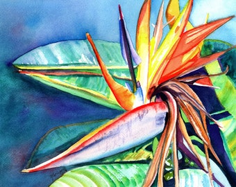Bird of Paradise Print, Bird of Paradise Watercolor Art,  Hawaii Decor, Kauai Art, Hawaiian Painting