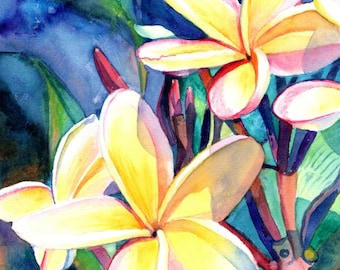 plumeria print, Hawaiian plumeria, frangipani art, plumeria art, Kauai art print, exotic flower art, Hawaii flower, Hawaiian flowers