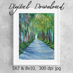 Kauai Tree Tunnel Print Digital Download 8x10 5x7 jpg Acrylic Print Printable wall art Downloadable Kauai Decor Maluhia Road Koloa Tunnel