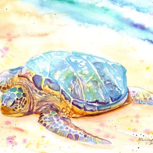 Impresión de acuarela de tortuga marina: arte de Kauai, Hawái
