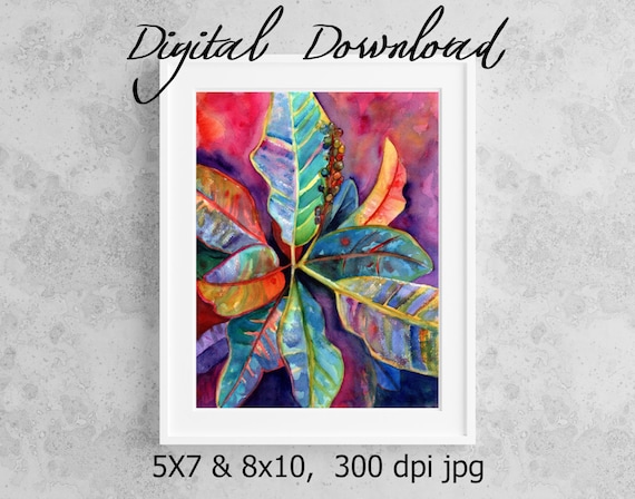 Croton Print, Printable Wall Art, Downloadable Art, Poster Art, DIY Prints, Hawaiian Art, Colorful Croton Leaves, Kauai Art, Print on Demand