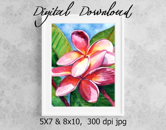 Pink Plumeria Print Digital Download 8x10 5x7 jpg Watercolor Print Printable wall art Downloadable Aloha Decor Frangipani Tropical Flower