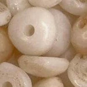 Petits coquillages blancs puka hawaïens avec trous