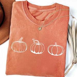 May include: An orange-colored t-shirt with a crew neck and white line art of three pumpkins. A gold necklace with a small pendant is draped on the shirt. A brown hat and dried plant are in the background.