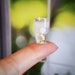 Miniature Glass of Fizzing Bubbly Alka Seltzer for the 1:6 Scale Upset Stomach - Realistic Miniatures for Fashion Dolls and Action Figures 