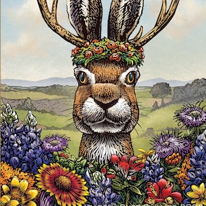 Lady Bird's Jackalope 5" x 7" greeting card with envelope