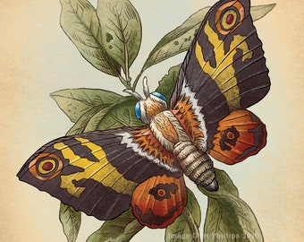 Kaiju Moth Study-Unnatural History series 8&quot; x 10&quot; print