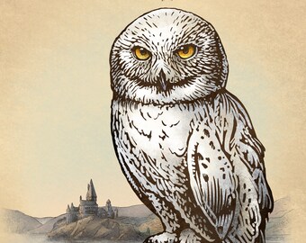 Hedwig Study- Unnatural History Series 8" x 10" print
