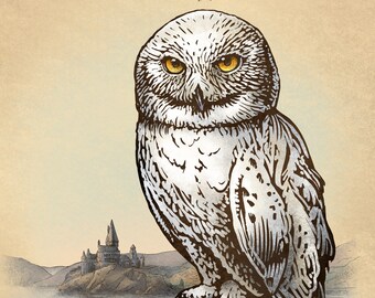 Hedwig Study- Unnatural History Series 8" x 10" print