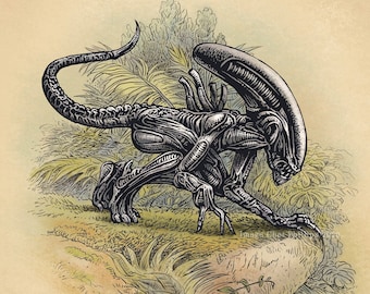 Alien Study-Unnatural History series 8&quot; x 10&quot; print