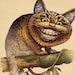 Cheshire Cat Study- Unnatural History Series 8 » x 10 » imprimer