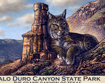 Parque Estatal Palo Duro Canyon- Texas Fantasy Travel impresión 13 x 19