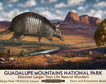 Guadalupe Mountains National Park- Fantasy Texas Travel Poster