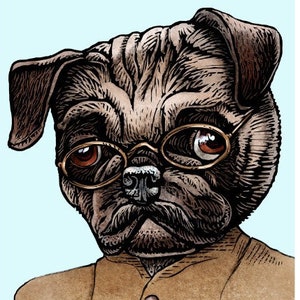 May include: A brown pug wearing round glasses and a brown jacket with two buttons. The background is light blue. The image is signed "Chet Phillips".