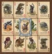 Unnatural History Playing Cards- Plastic Coated Poker Deck- 4 suits, 2 Jokers and 4 Wild Cards 