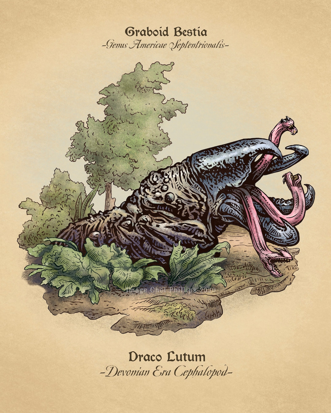 Graboid Studyunnatural History Series 8 X 10 Print Etsy