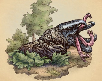 Graboid Study-Unnatural History series 8&quot; x 10&quot; print