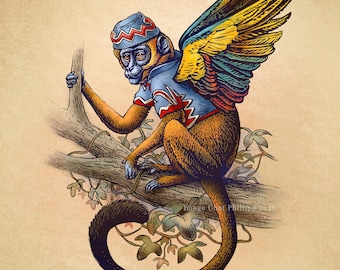 Flying Monkey Study-Unnatural History series 8" x 10" print