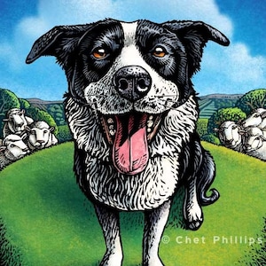 Border Collie- 8&quot; x 10&quot;- Dog Art Print- Dog Wall Decor- Dog Wall Art- Dog Print- Dog Gift