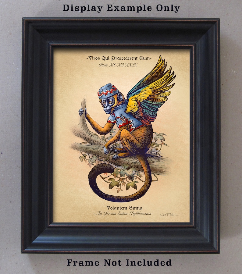 Flying Monkey Study-Unnatural History series 8 x 10 print image 2